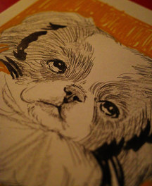 Original illustration by Lauren Stewart