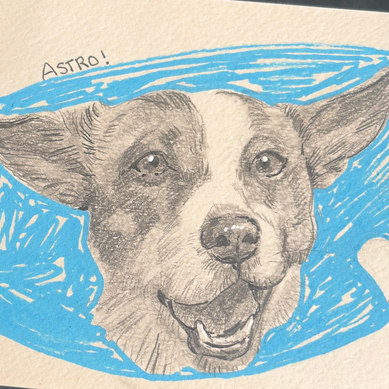Astro, dog portrait with a blue background