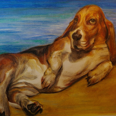 Basset hound, color painting
